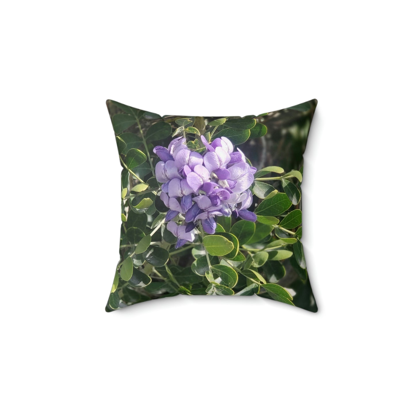 Purple Texas Mountain Laurel | Throw Pillow