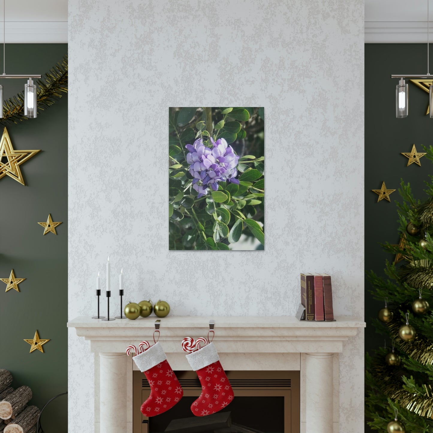 Purple Texas Mountain Laurel | Wall Art Canvas