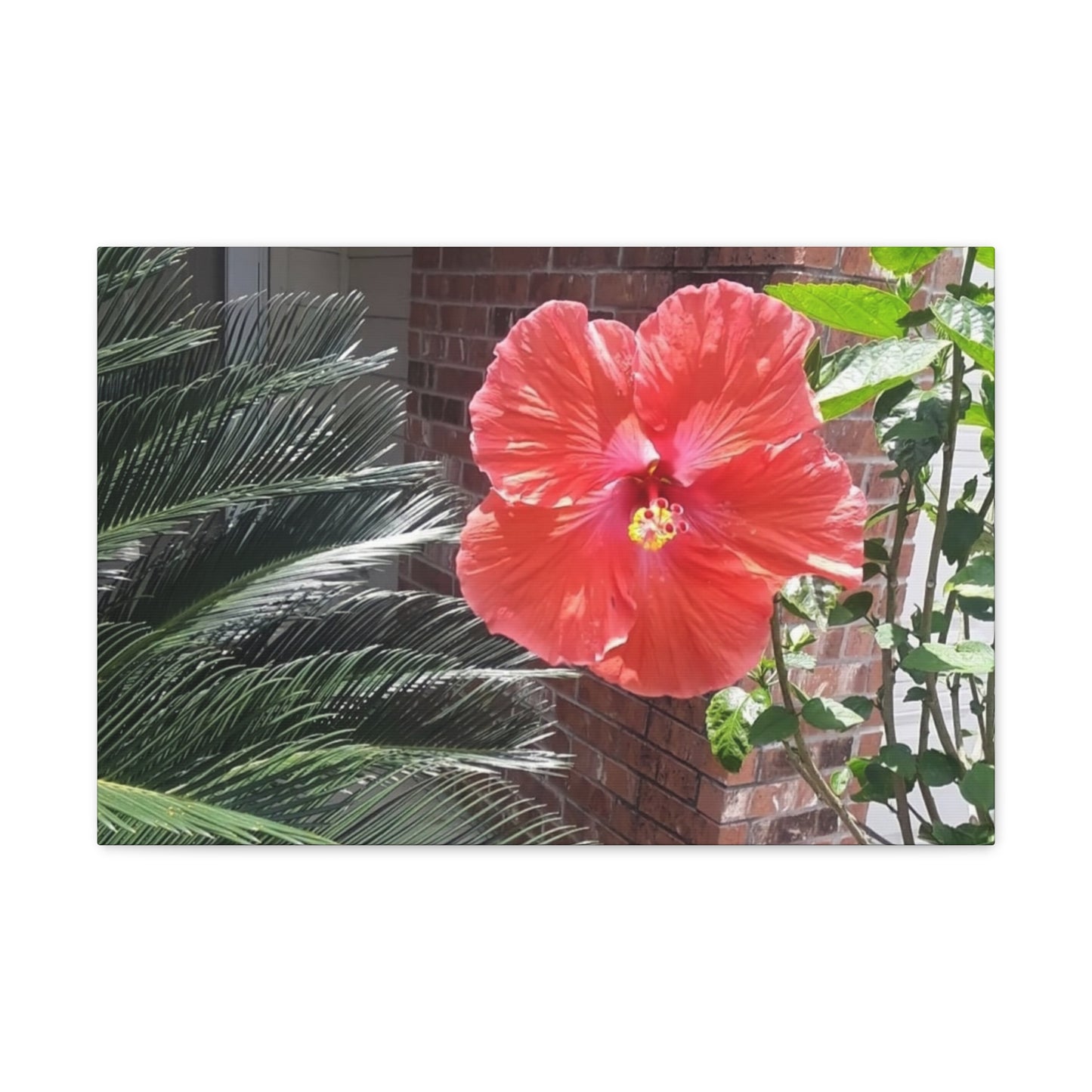 Art Prints & Wall Art, Gallery Canvas with Peach Hibiscus Flower
