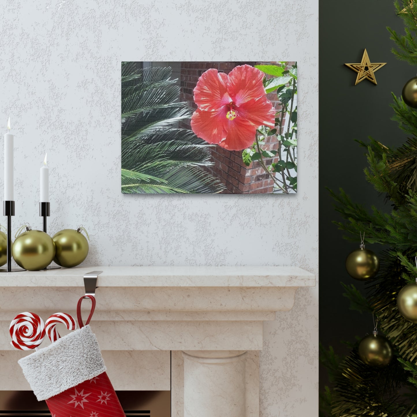 Art Prints & Wall Art, Gallery Canvas with Peach Hibiscus Flower