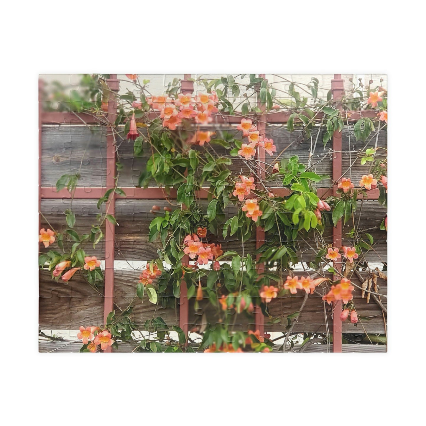 Flowers On A Rugged Fence | Puzzle | 110 252 500 1014 pc | High Bloom Collection | Life By Ortavia