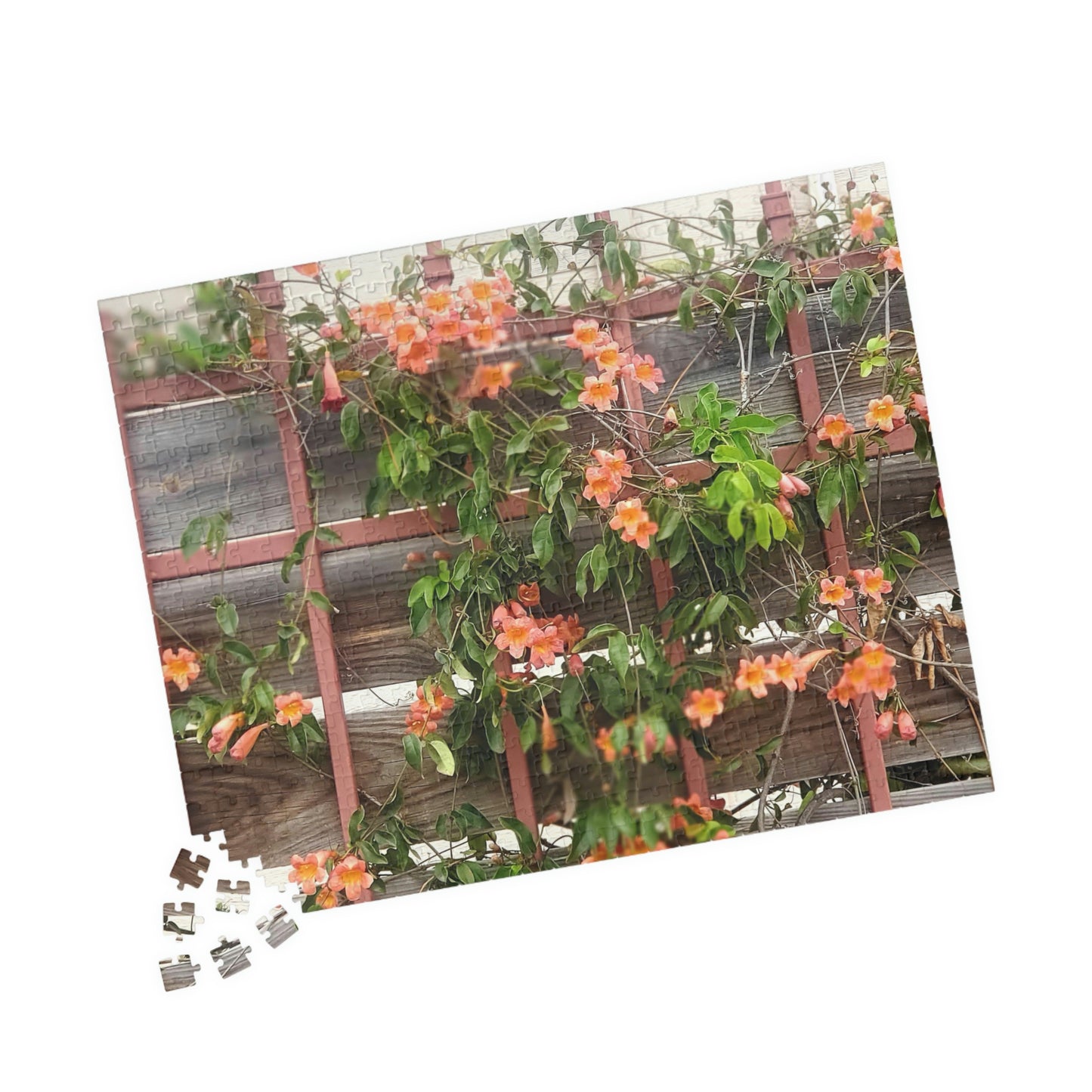 Flowers On A Rugged Fence | Puzzle | 110 252 500 1014 pc | High Bloom Collection | Life By Ortavia