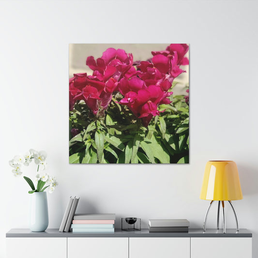 Magenta Snapdragon | Wall Art Canvas | High Bloom Collection | Life By Ortavia