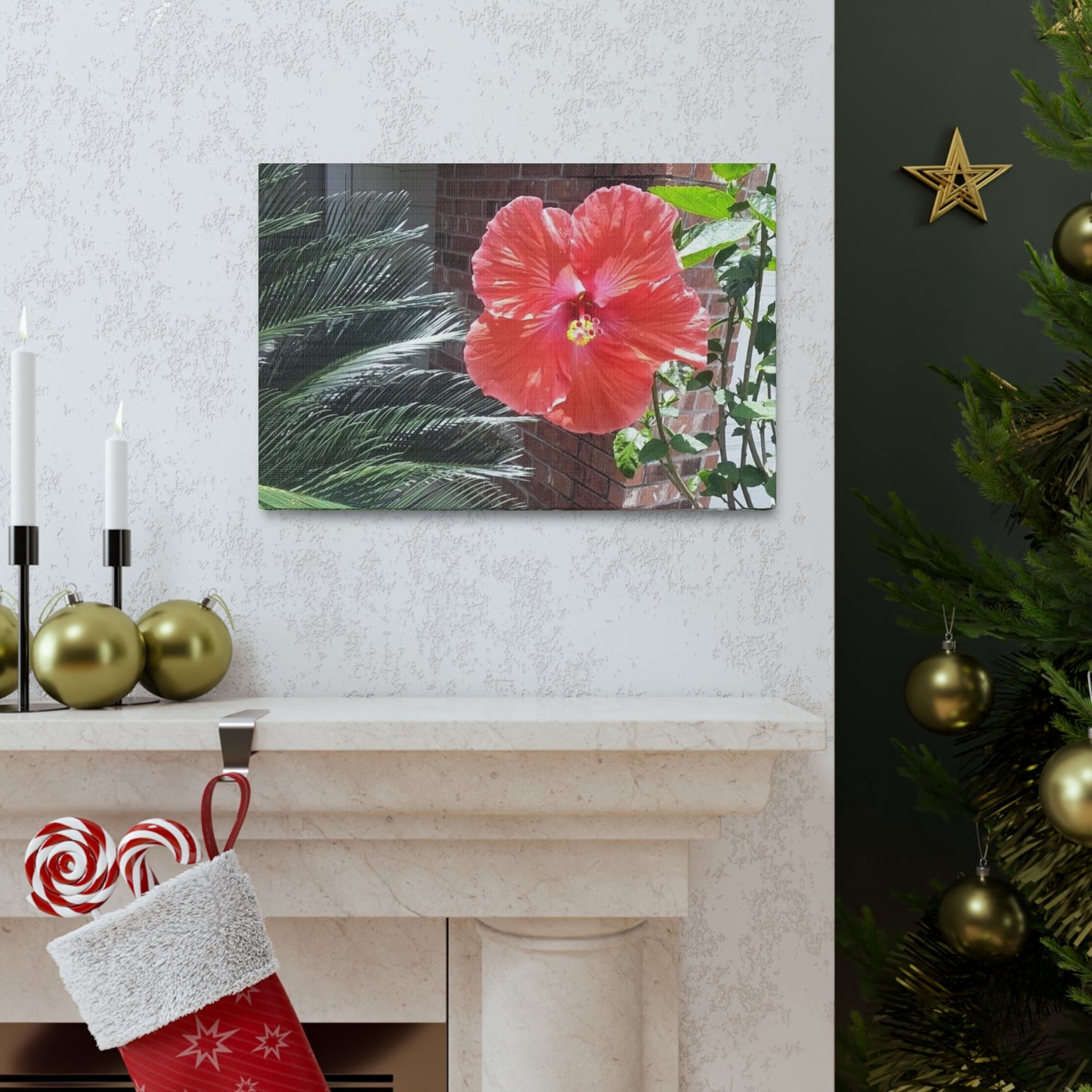 Art Prints & Wall Art, Gallery Canvas with Peach Hibiscus Flower