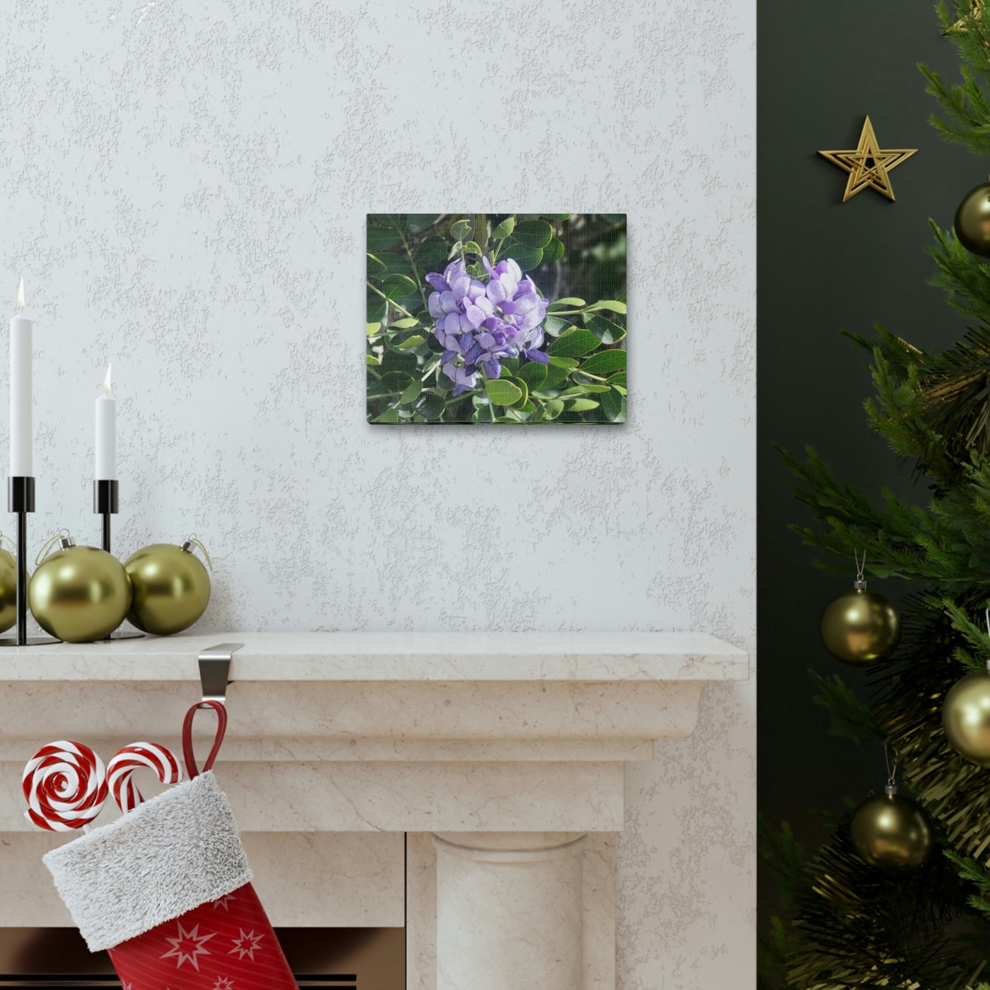 Purple Texas Mountain Laurel | Wall Art Canvas