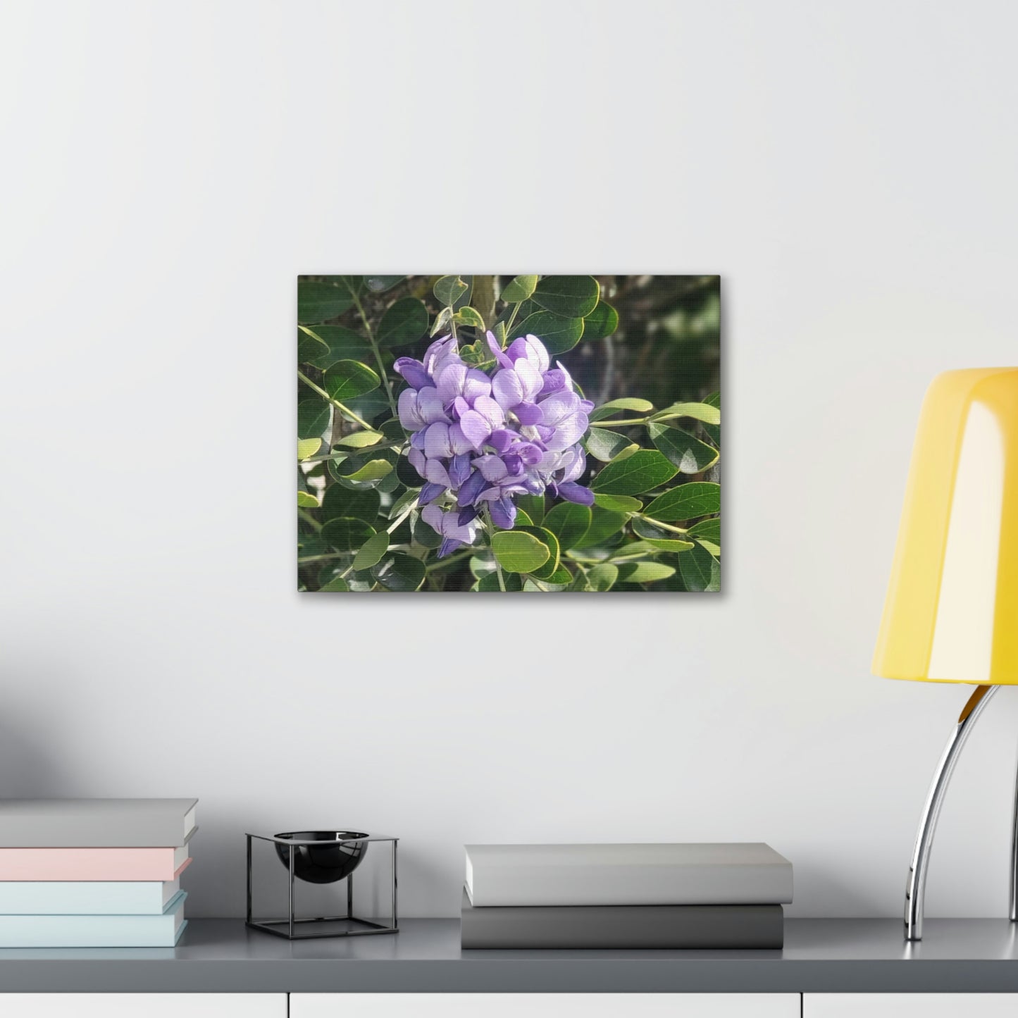 Purple Texas Mountain Laurel | Wall Art Canvas