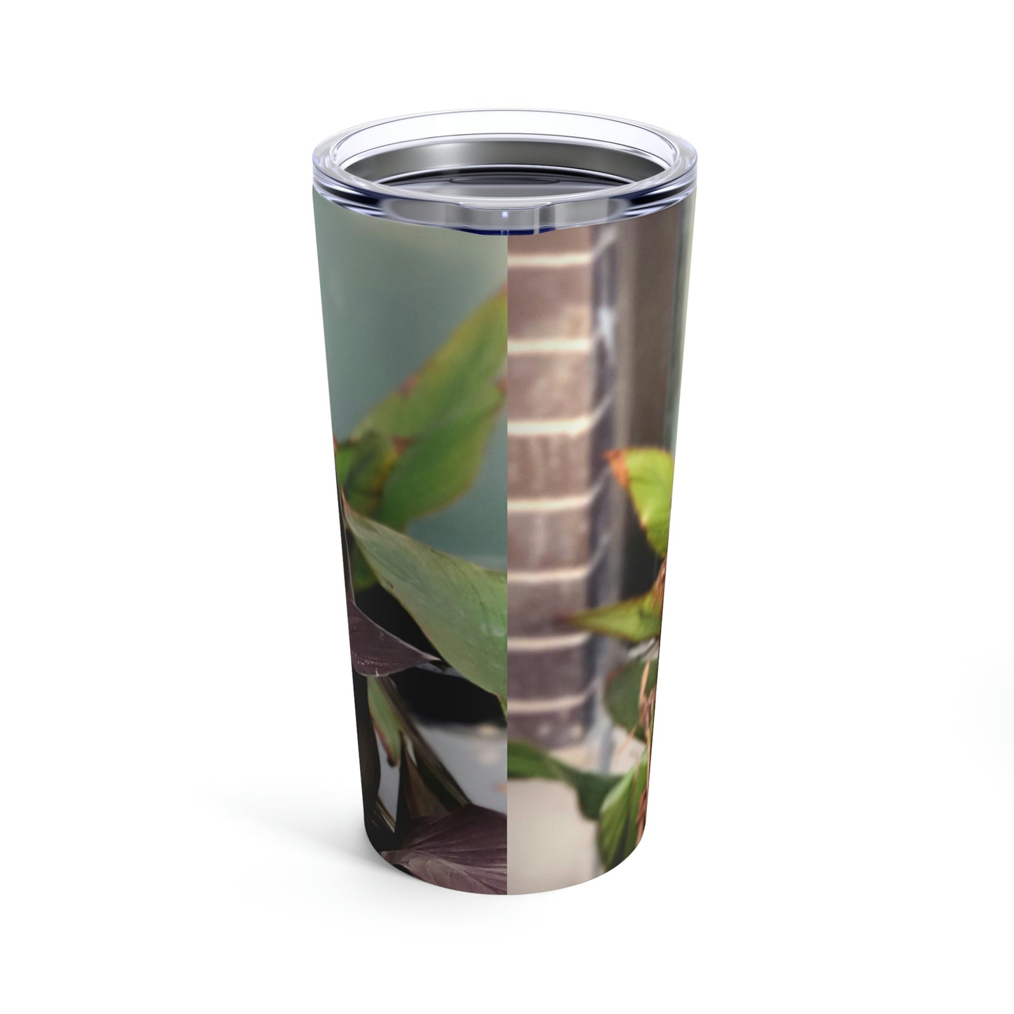 Red Canna | Tumbler 20oz | High Bloom Collection | Life By Ortavia