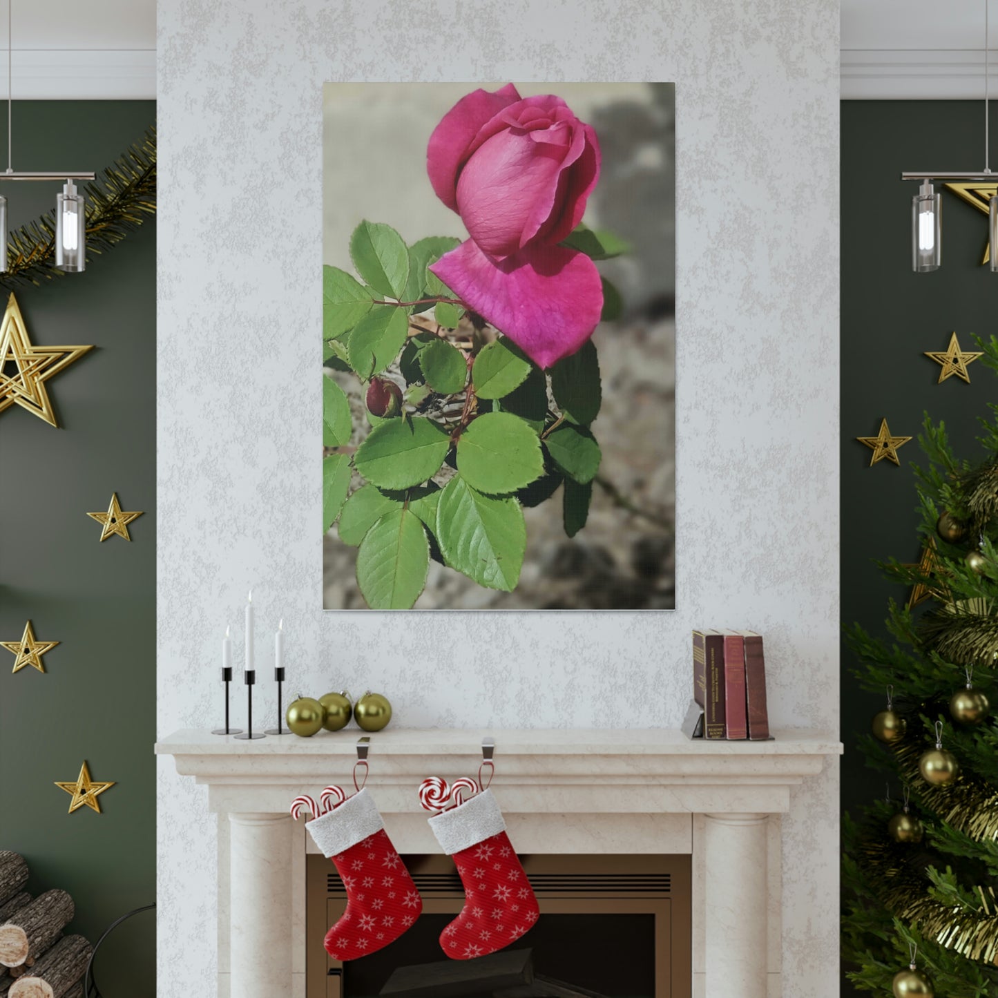 Dear Pink Rosa | High Bloom Collection | Canvas | Life By Ortavia