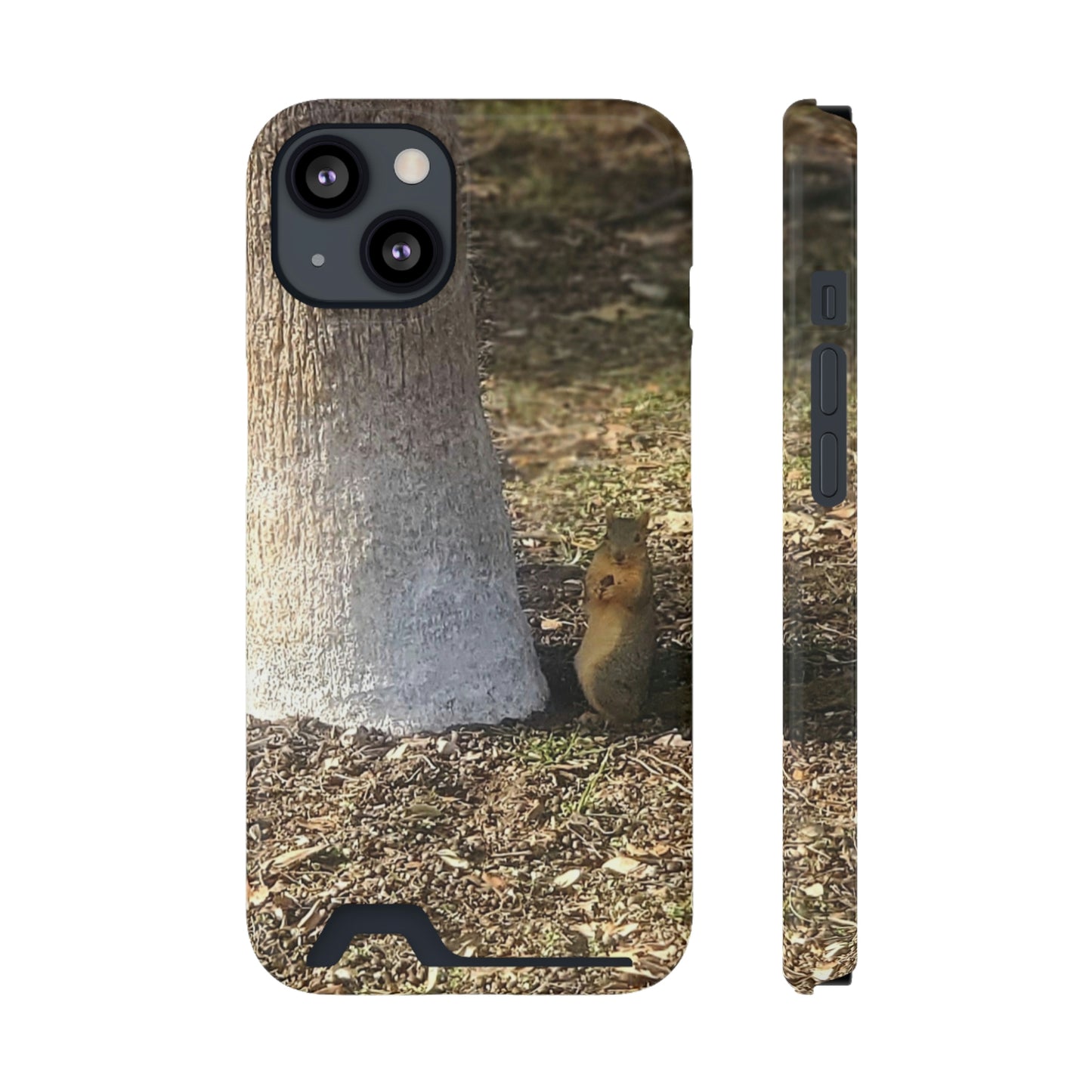 Squirrel and A Nut | Phone Case with Card Holder | Urban Geographic Collection | Life By Ortavia