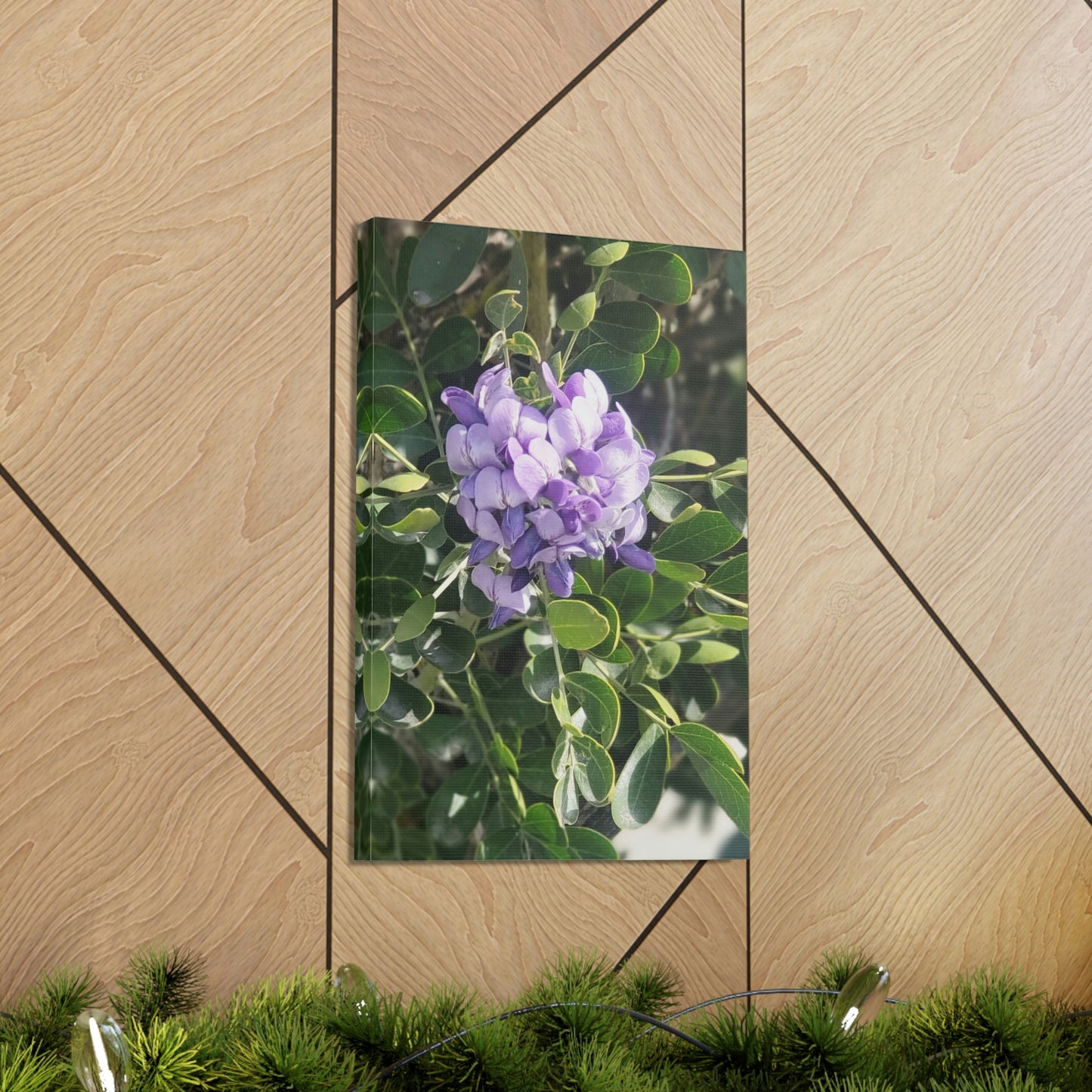 Purple Texas Mountain Laurel | Wall Art Canvas
