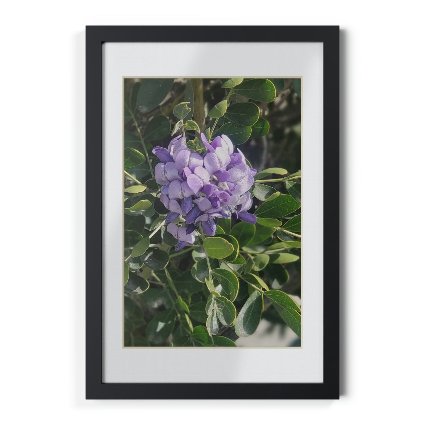 Framed Posters, Black