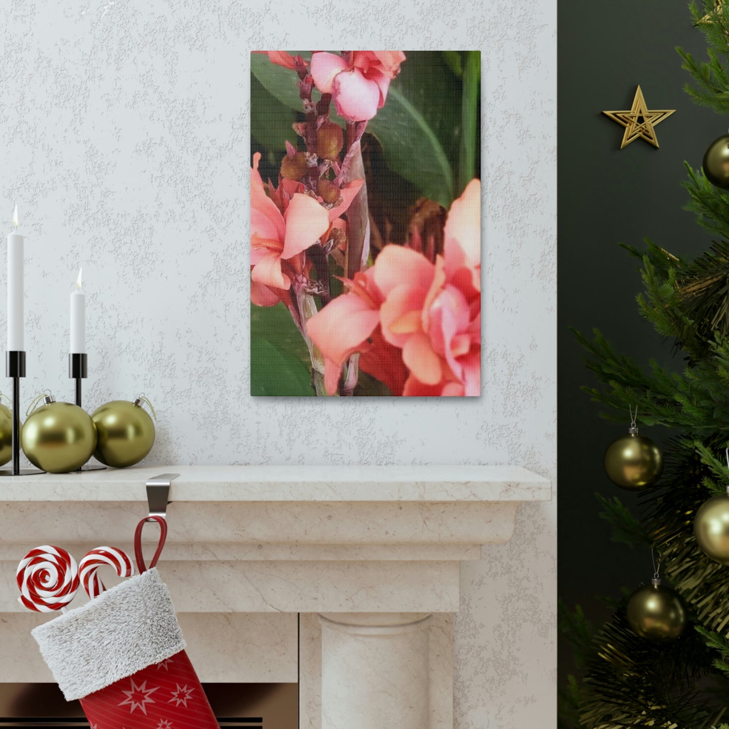 Art Prints & Wall Art, Canvas Gallery with Pink Canna Flower