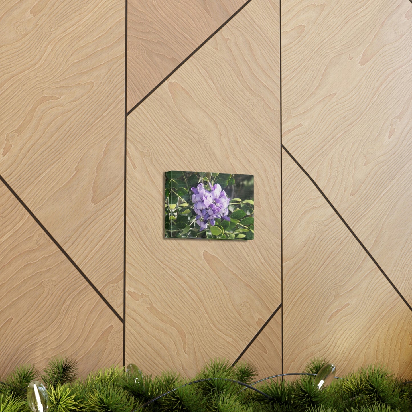 Purple Texas Mountain Laurel | Wall Art Canvas