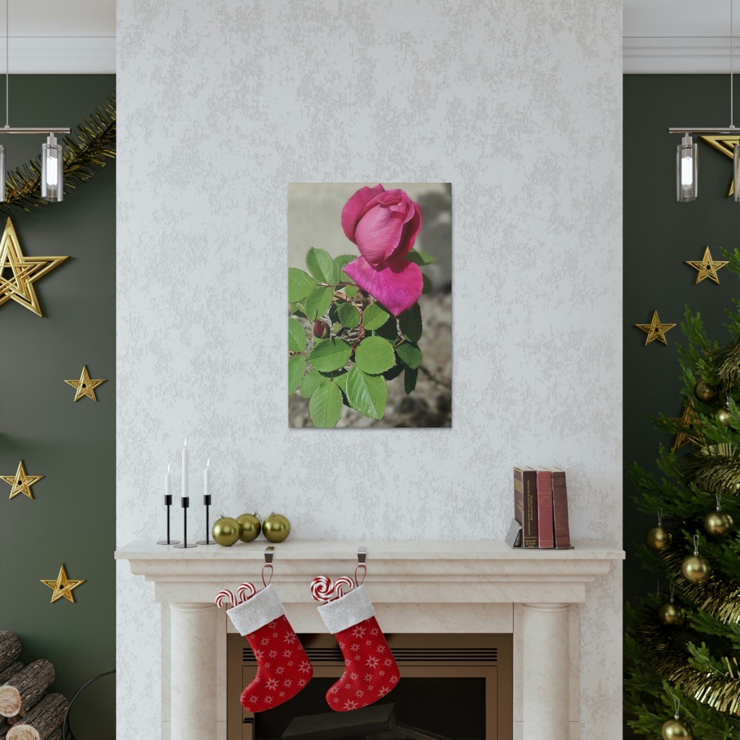 Dear Pink Rosa | High Bloom Collection | Canvas | Life By Ortavia