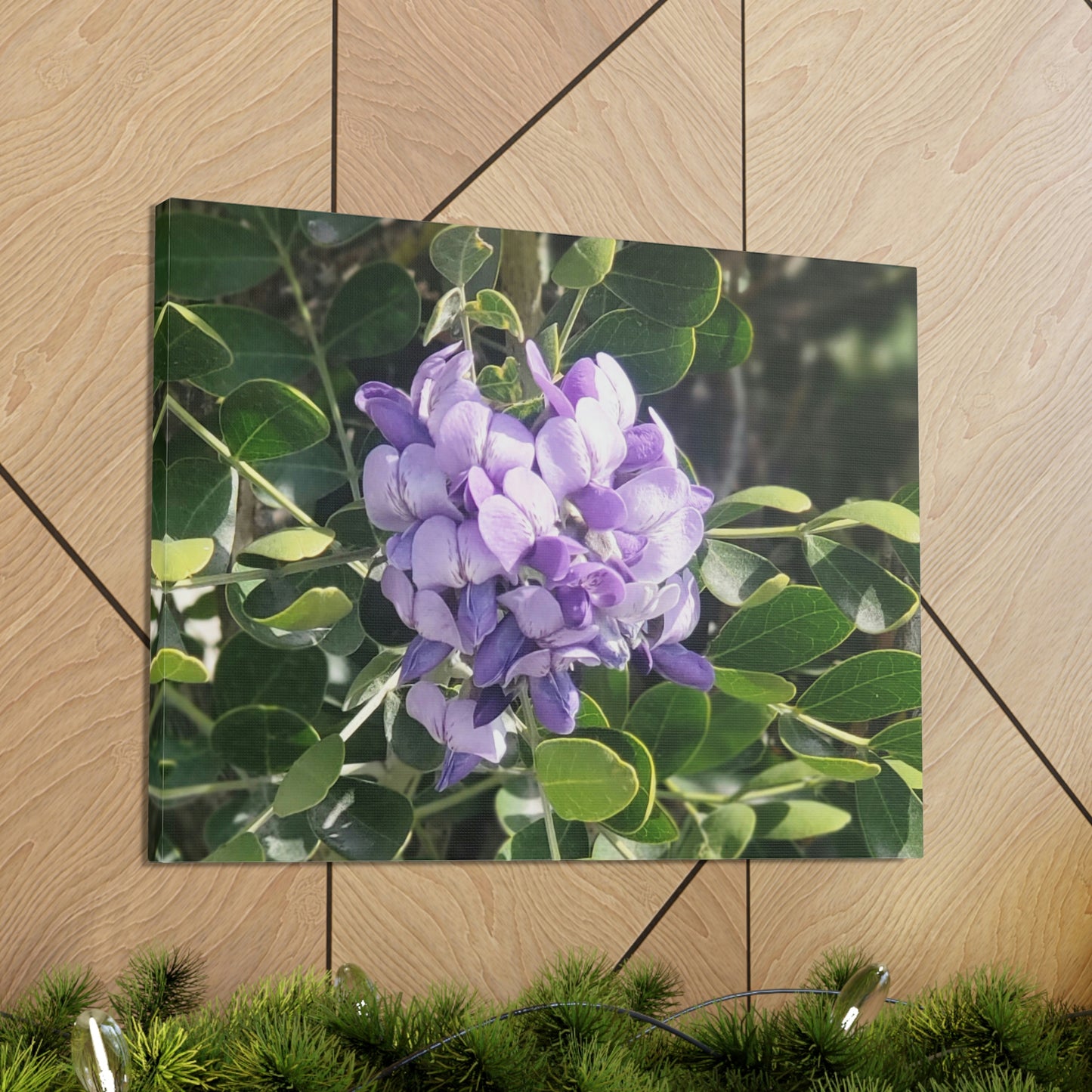 Purple Texas Mountain Laurel | Wall Art Canvas