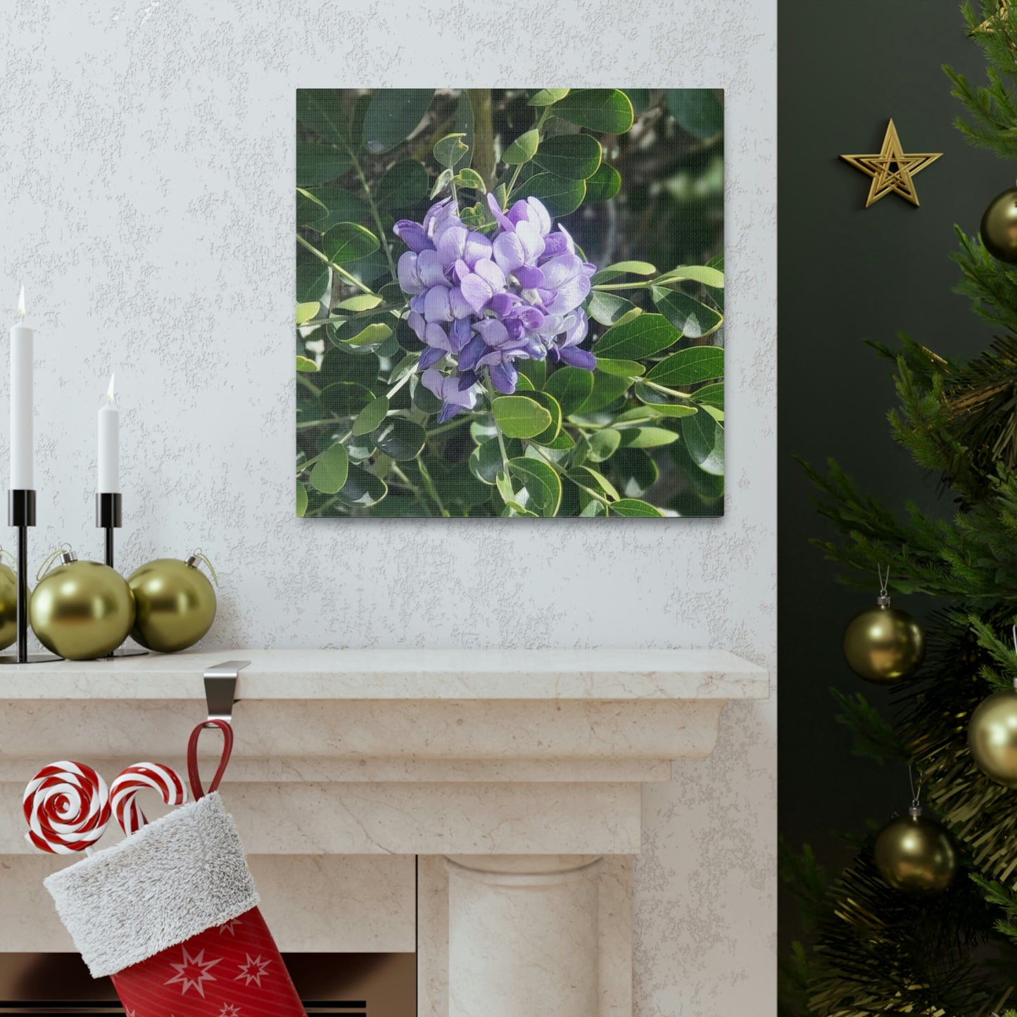 Purple Texas Mountain Laurel | Wall Art Canvas