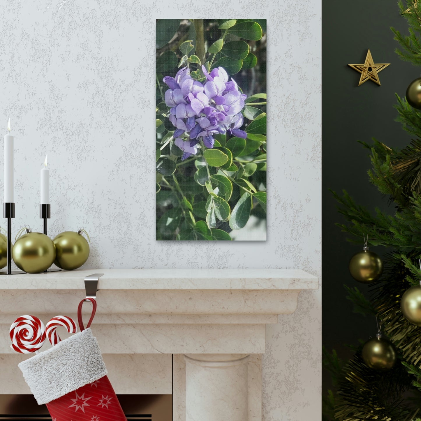 Purple Texas Mountain Laurel | Wall Art Canvas