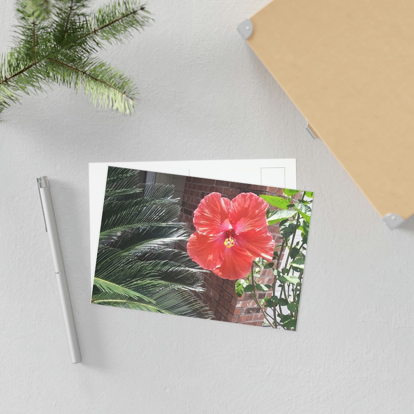 Peach Hibiscus Flower Fine Art Postcards