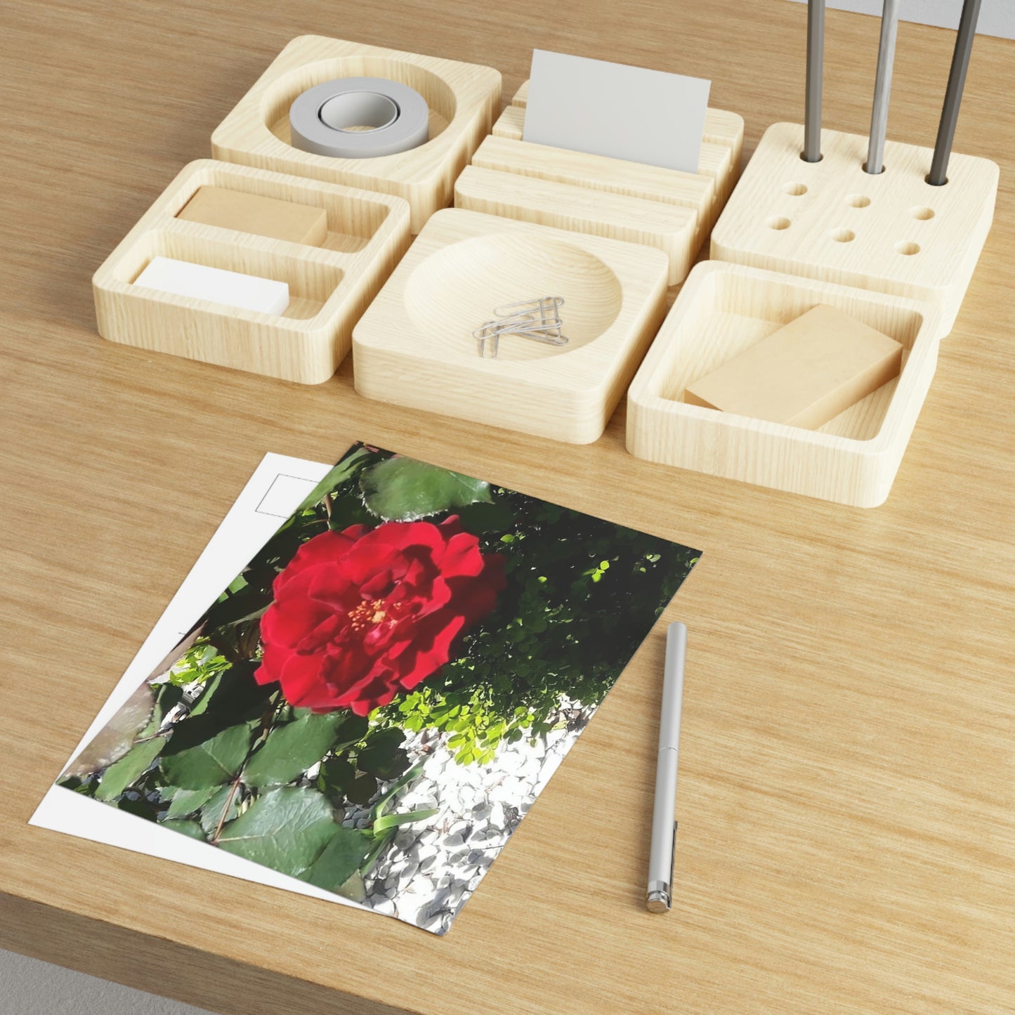Europeana Red Rose Fine Art Postcards