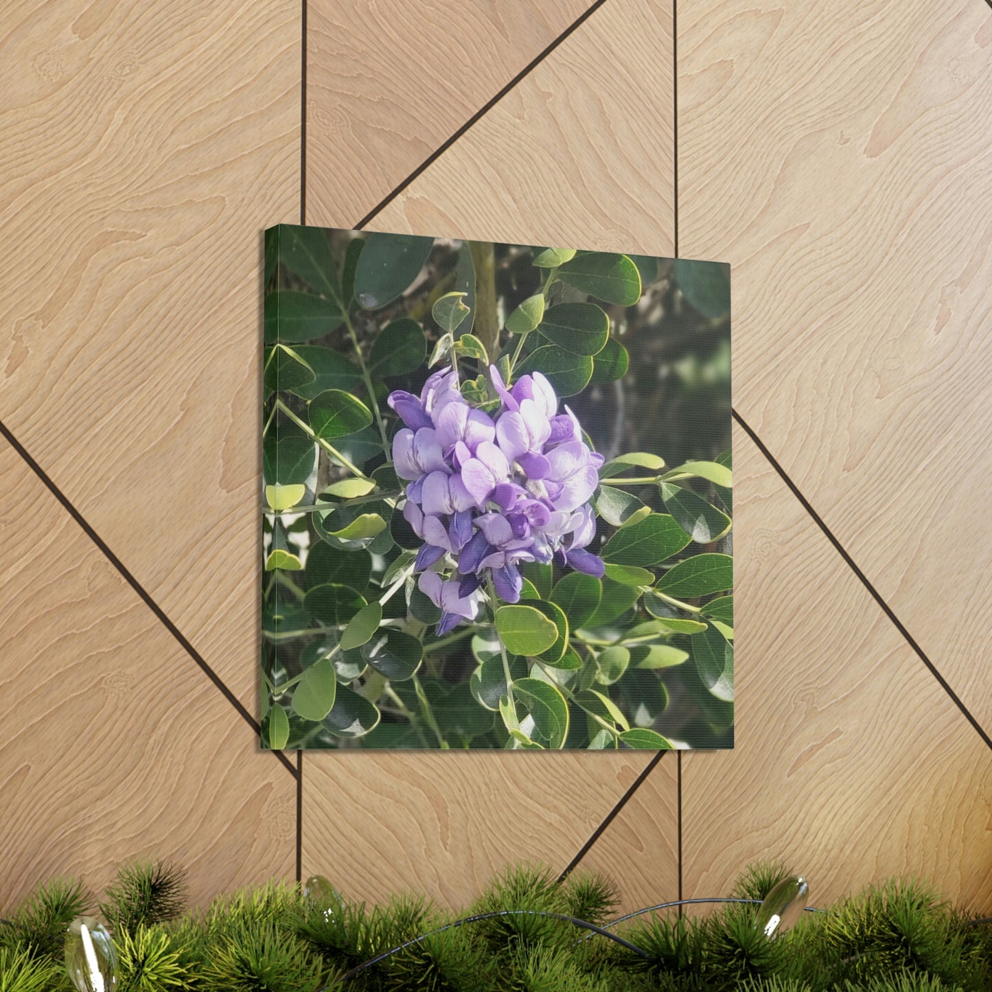 Purple Texas Mountain Laurel | Wall Art Canvas