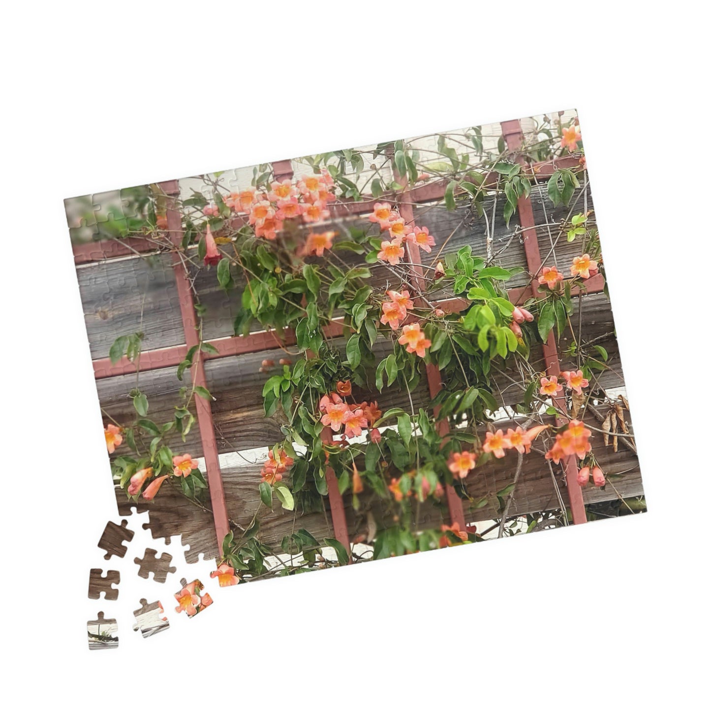 Flowers On A Rugged Fence | Puzzle | 110 252 500 1014 pc | High Bloom Collection | Life By Ortavia