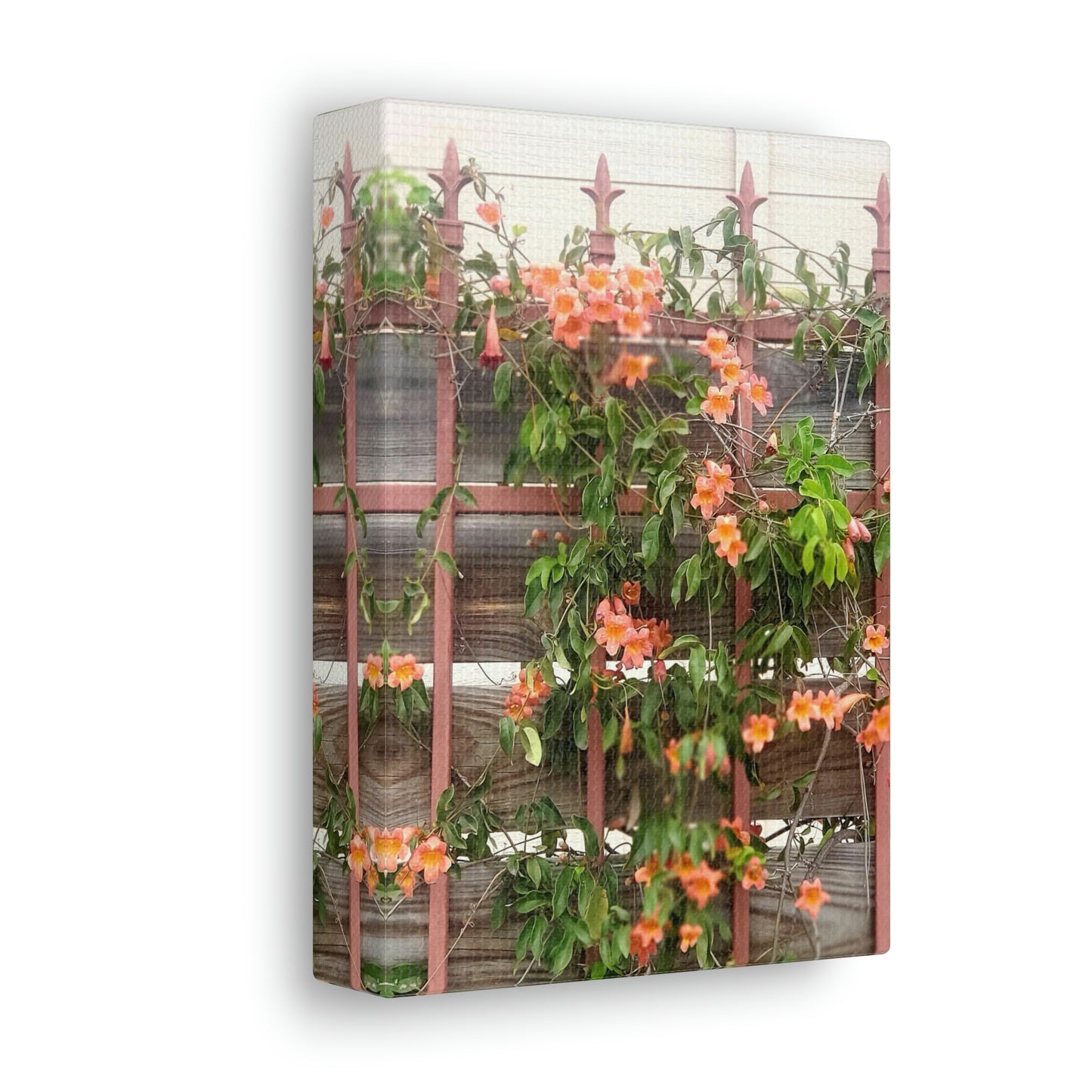 Flowers On A Rugged Fence | Wall Art Canvas | High Bloom Collection | Life By Ortavia