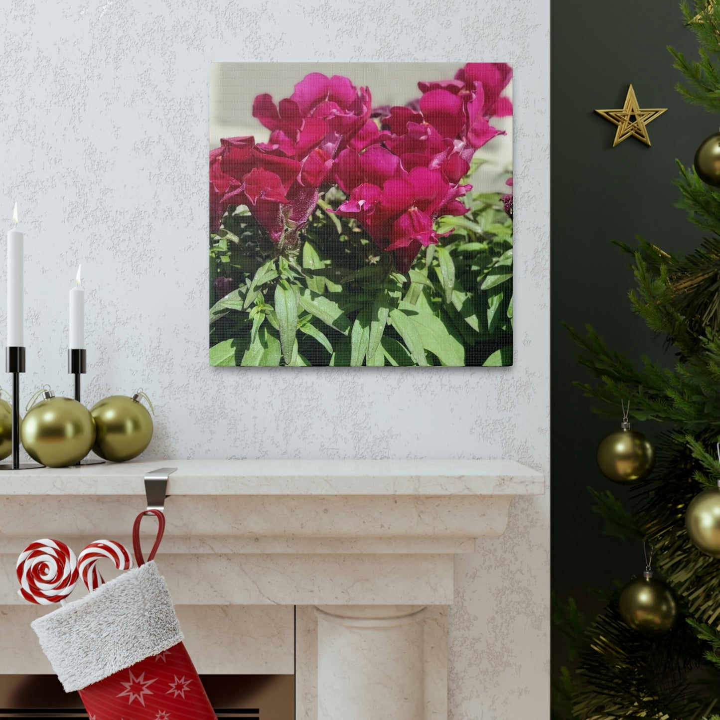 Magenta Snapdragon | Wall Art Canvas | High Bloom Collection | Life By Ortavia