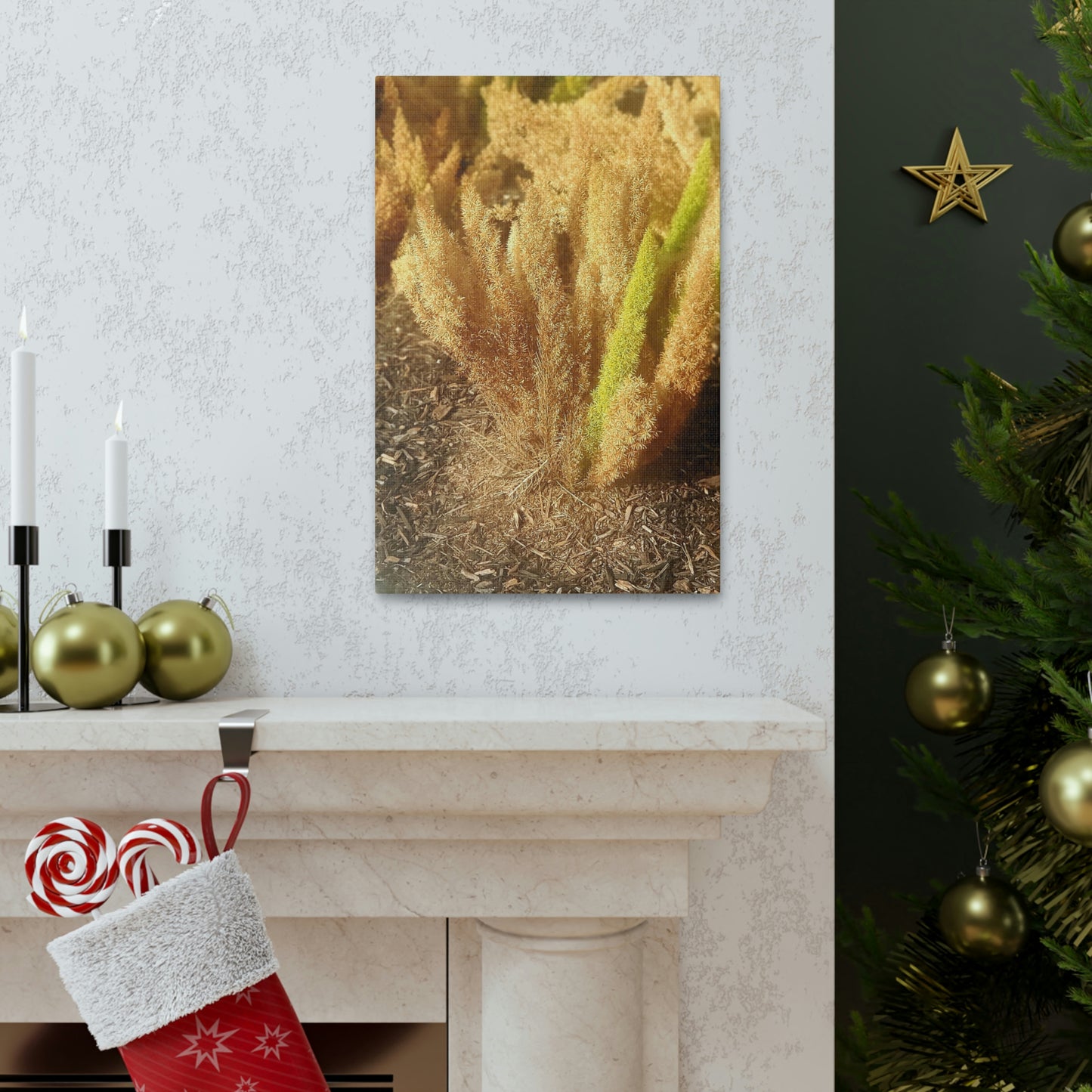 Golden Foxtail Fern | Wall Art Canvas | High Bloom Collection | Life By Ortavia