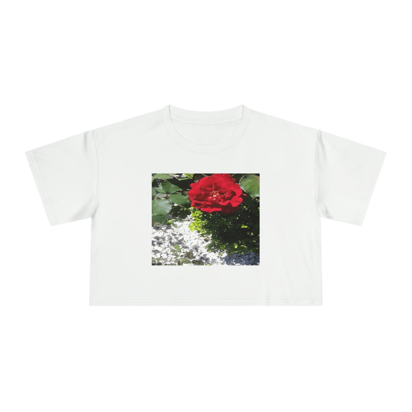 Women's Crop Tee with Europeana Red Rose Signature Print