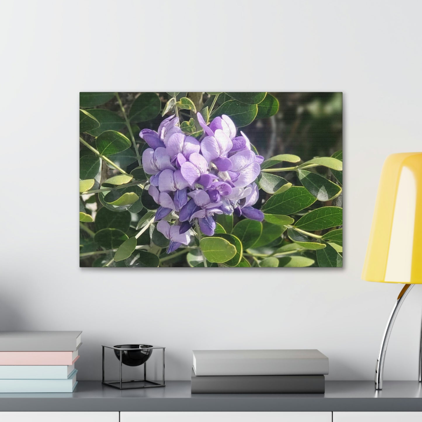 Purple Texas Mountain Laurel | Wall Art Canvas