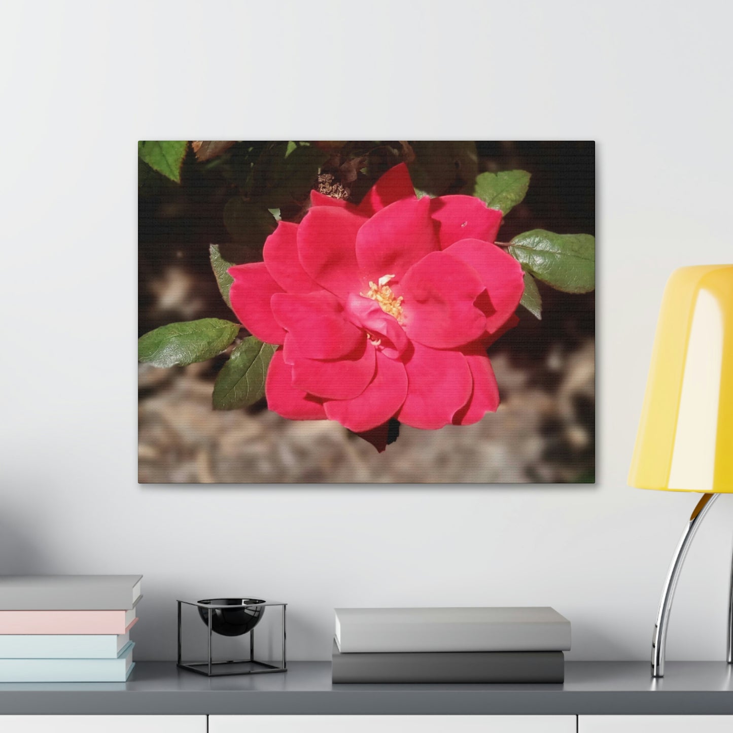 Knockout | Wall Art Print | High Bloom Collection | Life By Ortavia