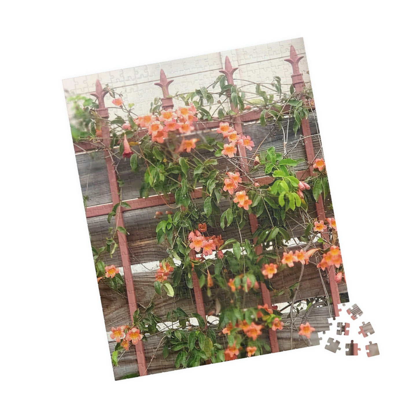 Flowers On A Rugged Fence | Puzzle | 110 252 500 1014 pc | High Bloom Collection | Life By Ortavia