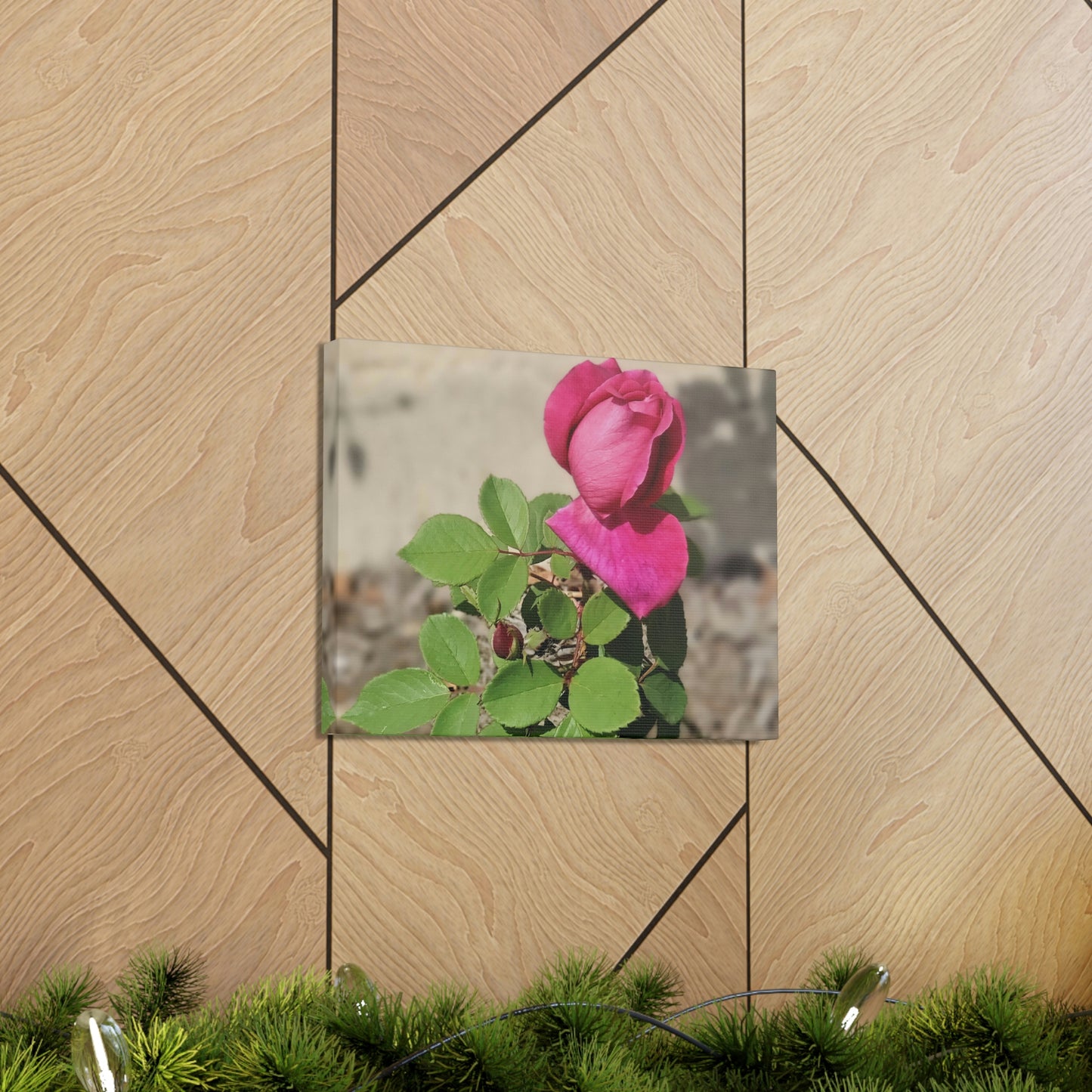 Dear Pink Rosa | High Bloom Collection | Canvas | Life By Ortavia