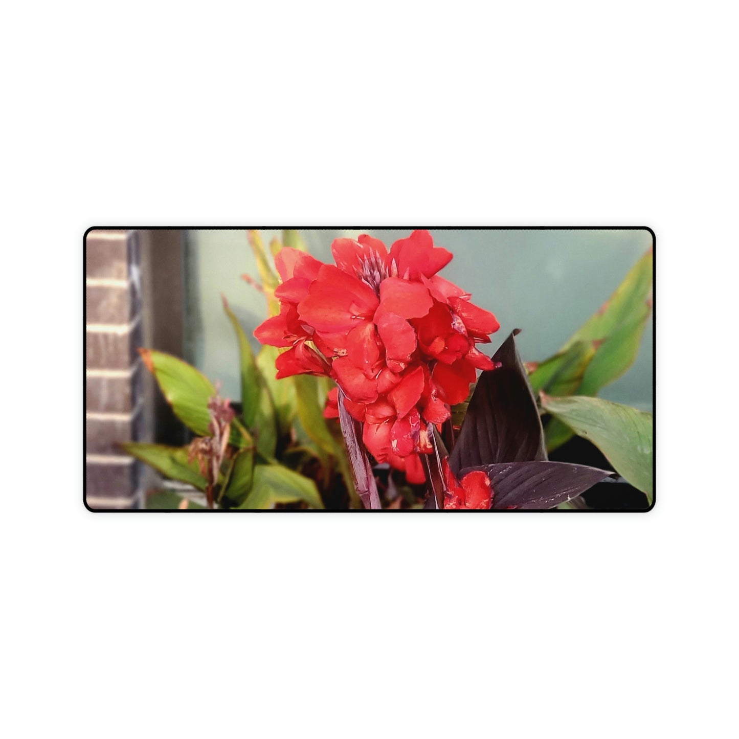 Red Canna | Desk Mat | High Bloom Collection | Life By Ortavia