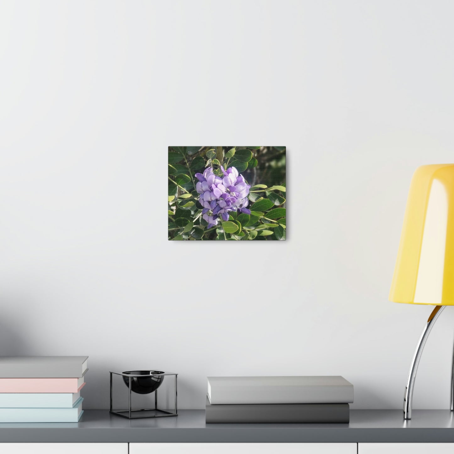 Purple Texas Mountain Laurel | Wall Art Canvas