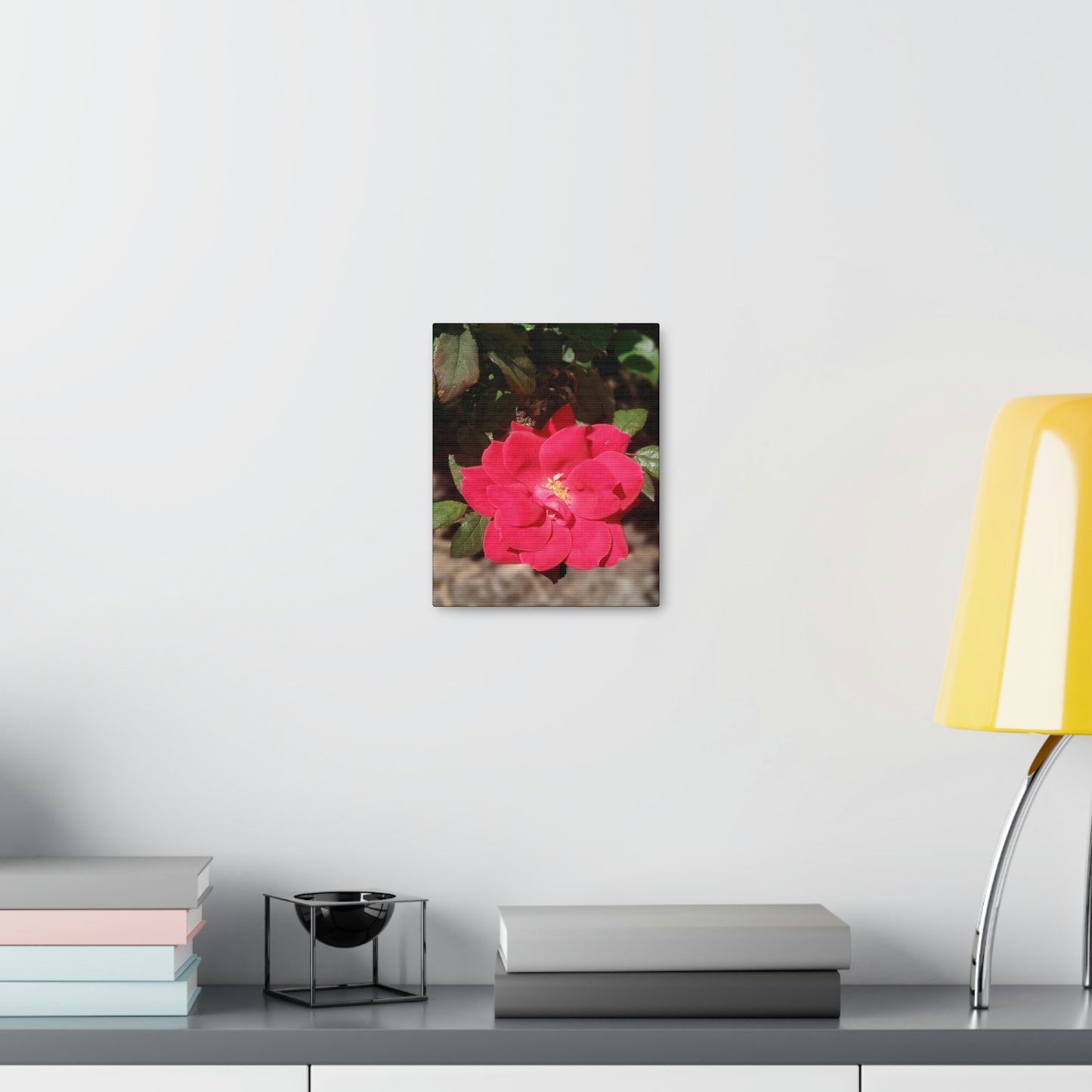 Knockout | Wall Art Print | High Bloom Collection | Life By Ortavia