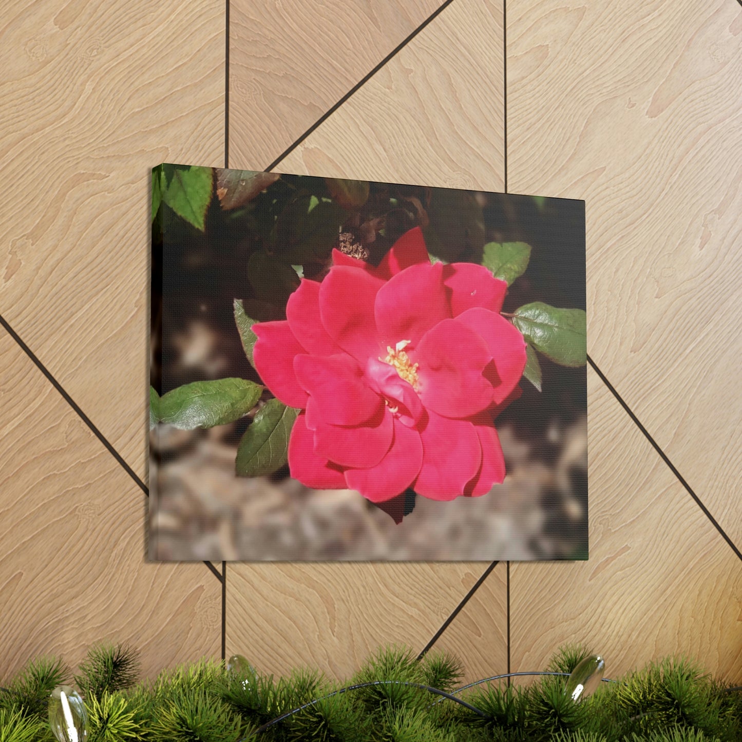 Knockout | Wall Art Print | High Bloom Collection | Life By Ortavia
