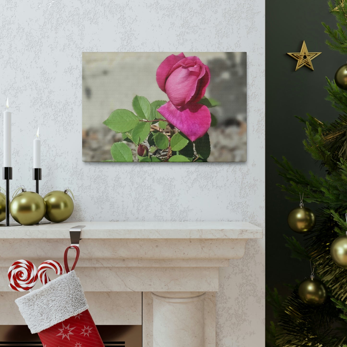 Dear Pink Rosa | High Bloom Collection | Canvas | Life By Ortavia