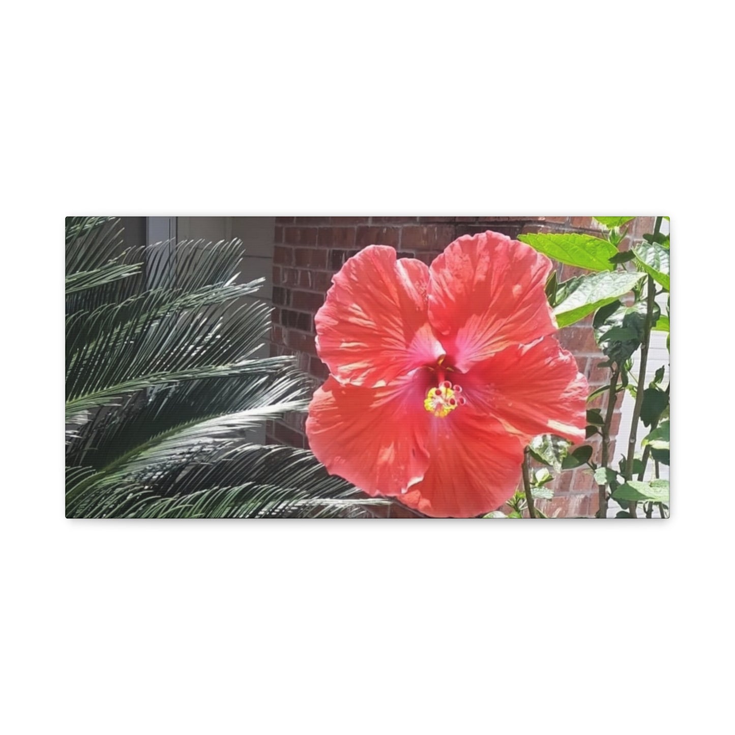 Art Prints & Wall Art, Gallery Canvas with Peach Hibiscus Flower