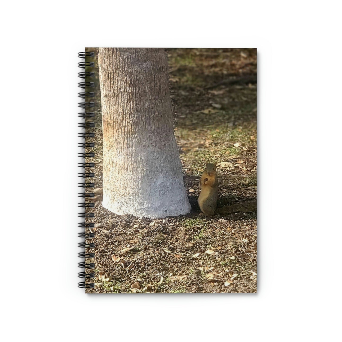 Squirrel and A Nut | Spiral Notebook 118 pg Ruled | Urban Geographic Collection | Life By Ortavia