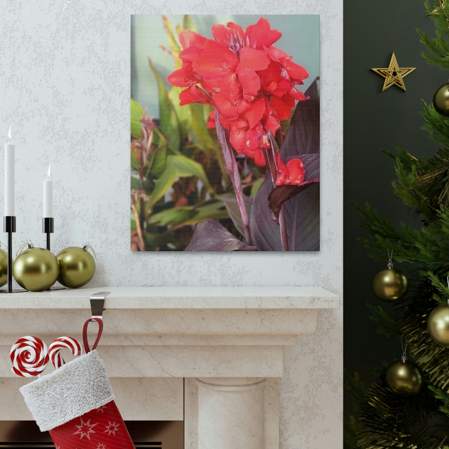 Red Canna | High Bloom Collection | Wall Art Print | Life By Ortavia