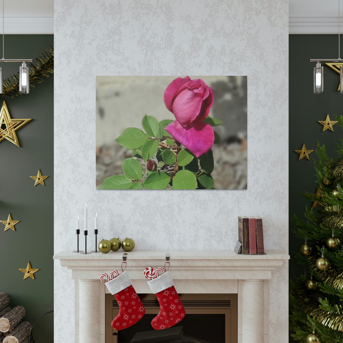 Dear Pink Rosa | High Bloom Collection | Canvas | Life By Ortavia