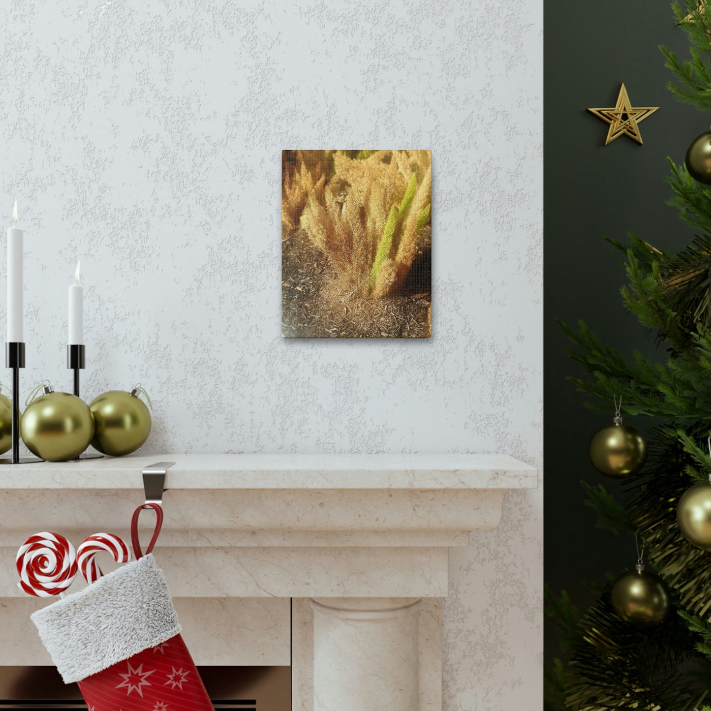 Golden Foxtail Fern | Wall Art Canvas | High Bloom Collection | Life By Ortavia