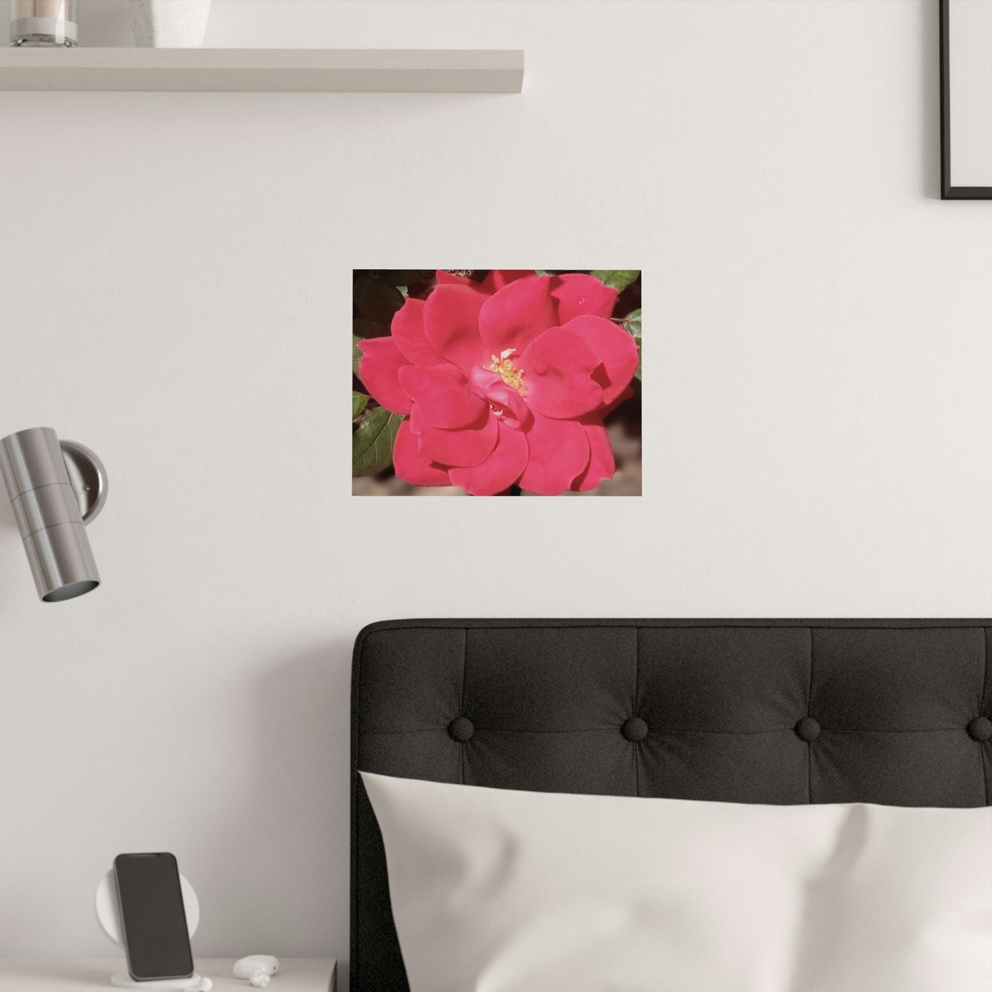 Knockout | Satin Posters (210gsm) | High Bloom Collection | Life By Ortavia