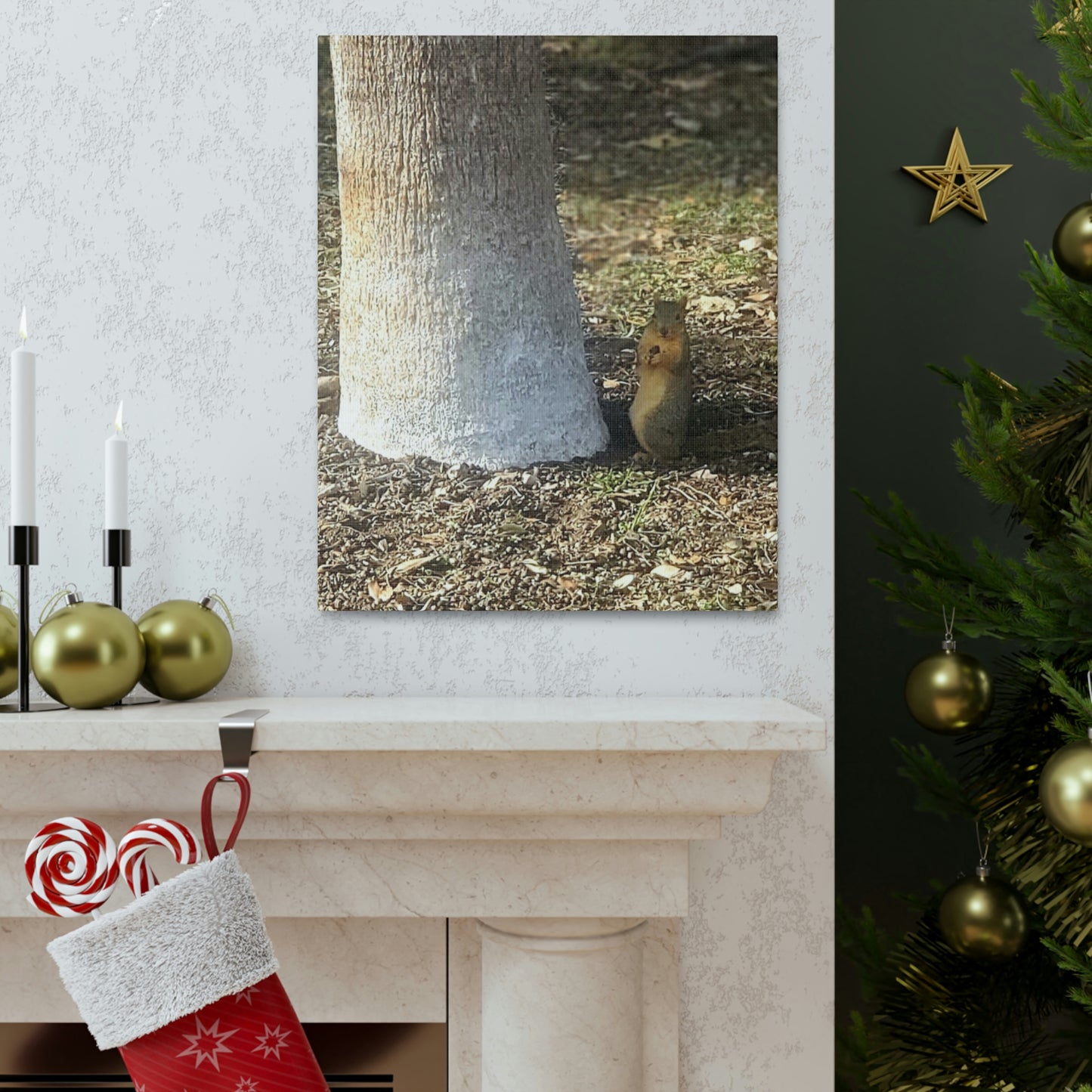 Squirrel and A Nut | Wall Art Print | Urban Geographic Collection | Life By Ortavia