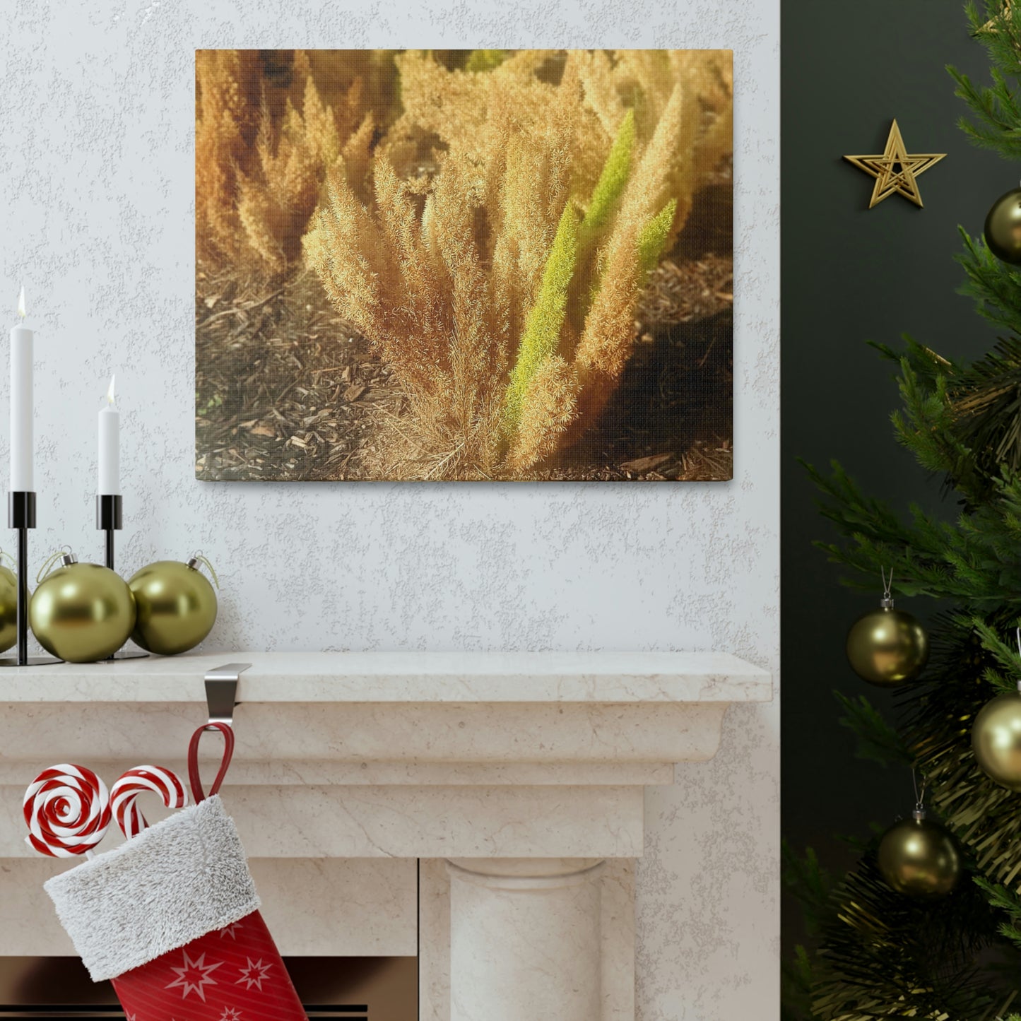 Golden Foxtail Fern | Wall Art Canvas | High Bloom Collection | Life By Ortavia