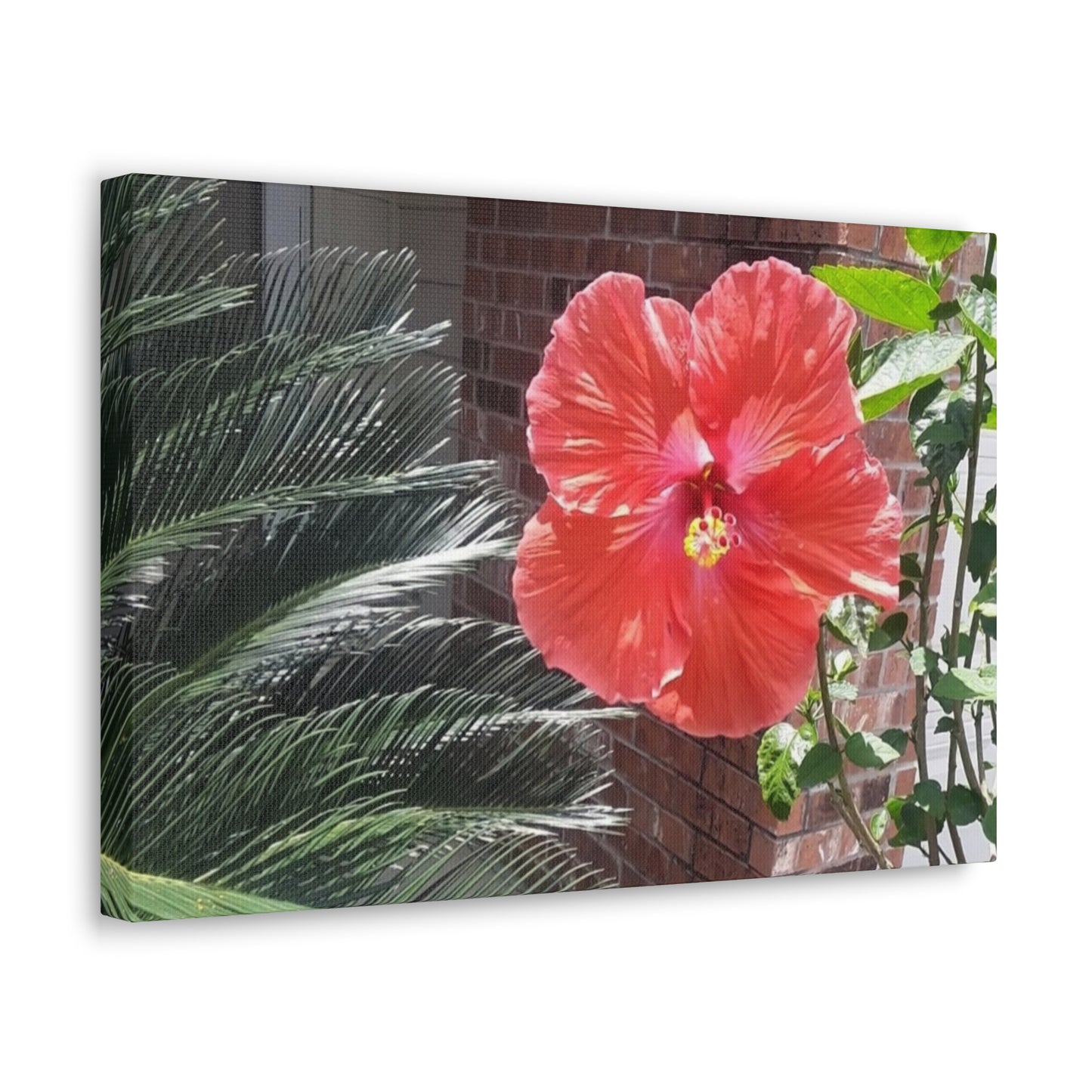 Art Prints & Wall Art, Gallery Canvas with Peach Hibiscus Flower