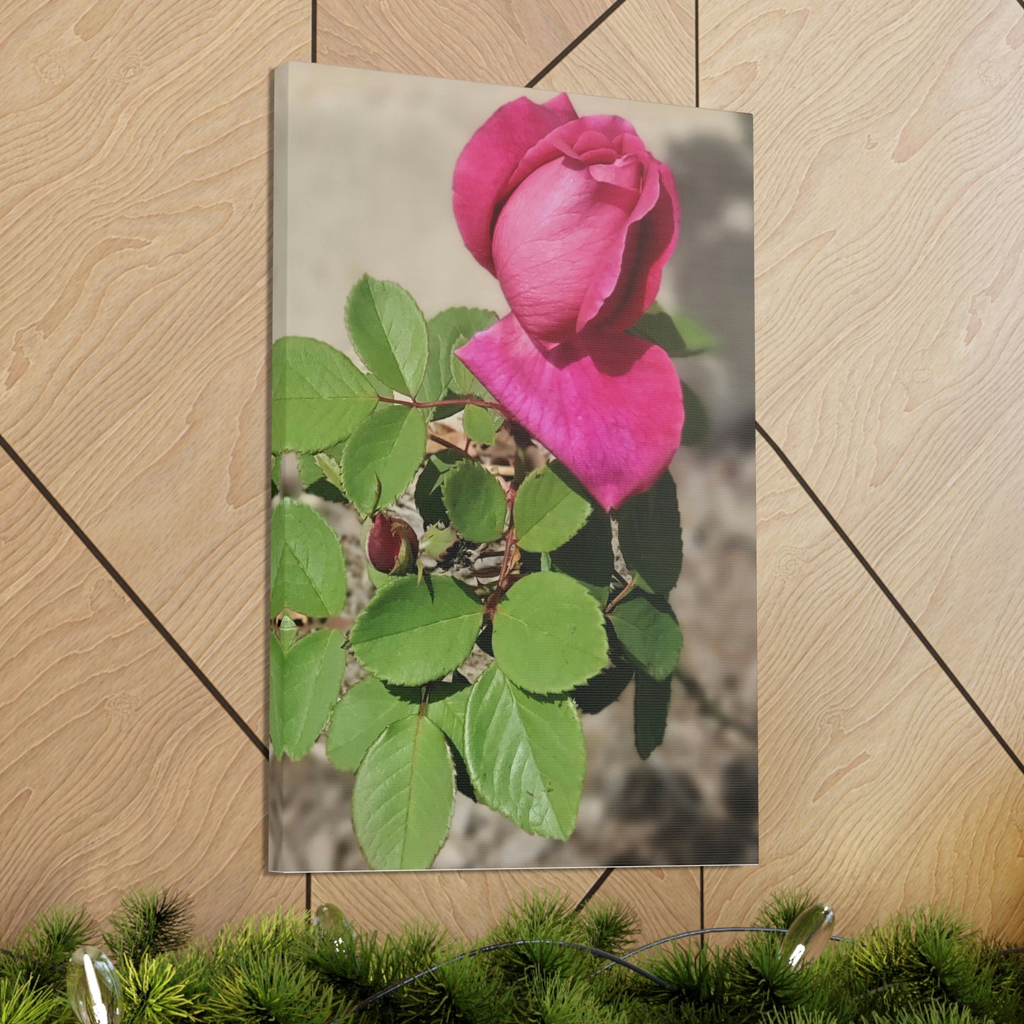 Dear Pink Rosa | High Bloom Collection | Canvas | Life By Ortavia