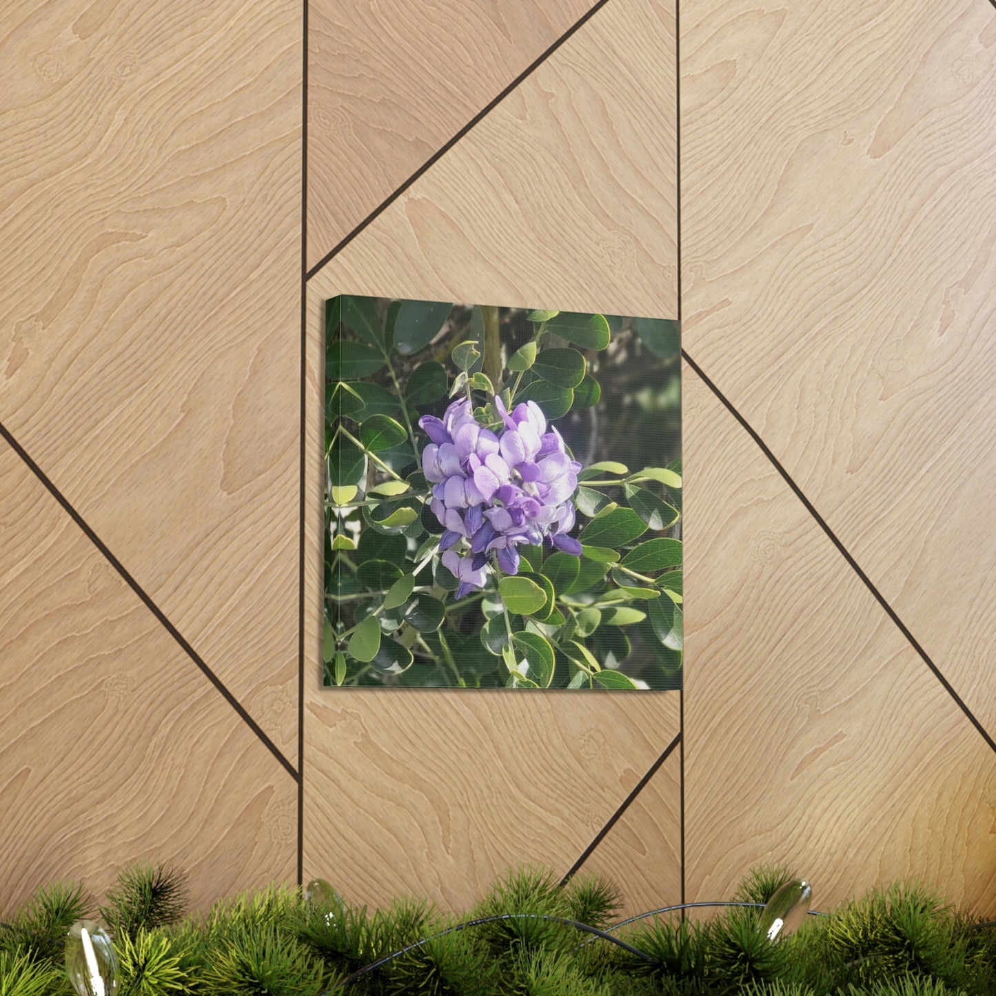 Purple Texas Mountain Laurel | Wall Art Canvas