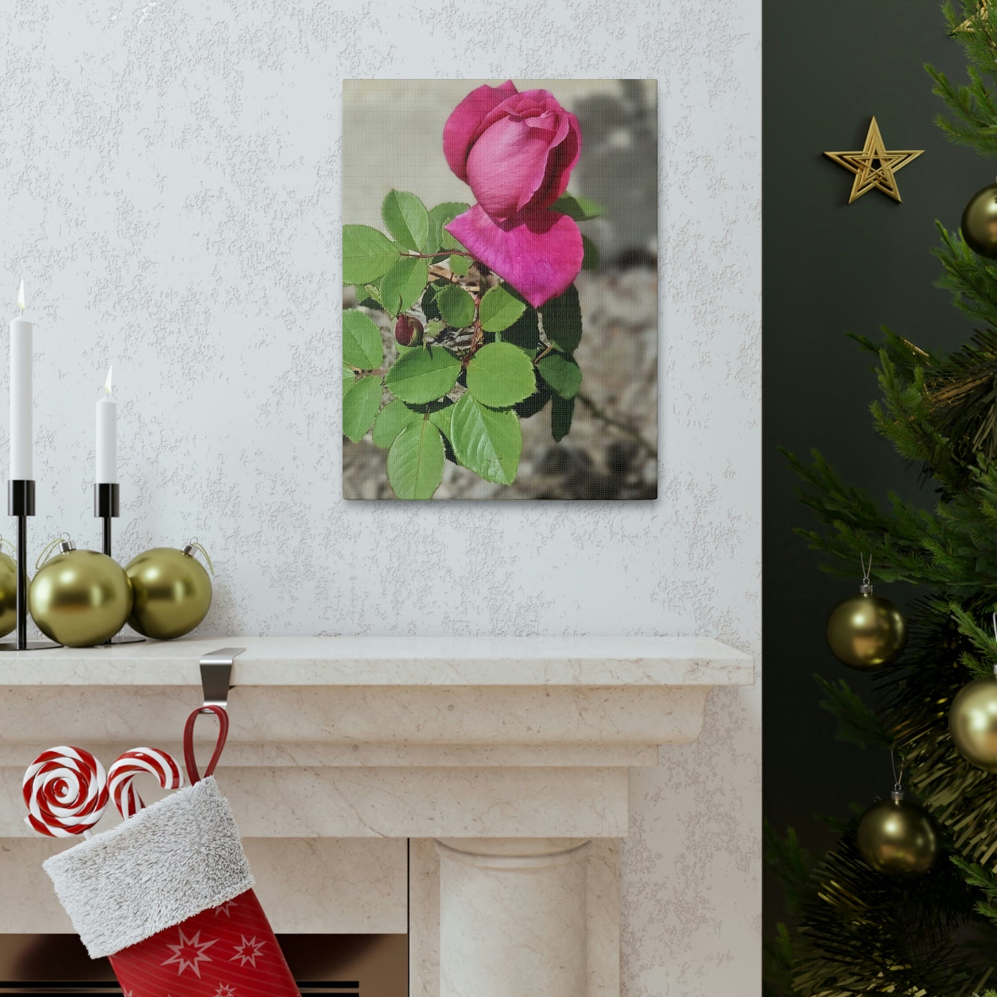 Dear Pink Rosa | High Bloom Collection | Canvas | Life By Ortavia
